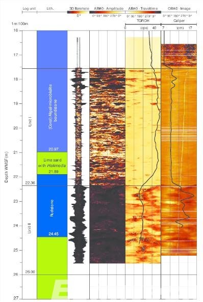 Borehole logging data