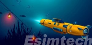 Autonomous Underwater Vehicles (AUVs)