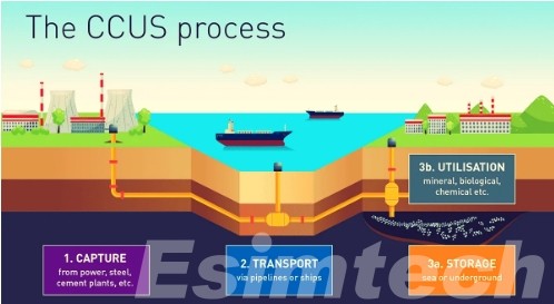 The Process of Carbon Capture, Utilization and Storage