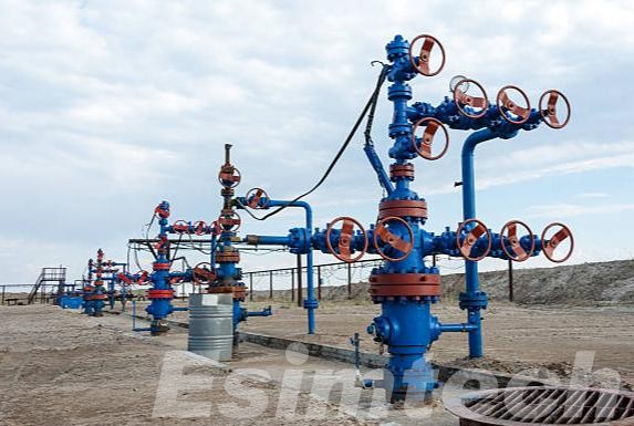 Wellhead Control