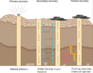 Microbial Enhanced Oil Recovery