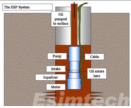 Electric Submersible Pump